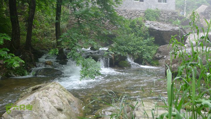 雁荡山狮子山五马尖筋竹涧筋竹涧的水流