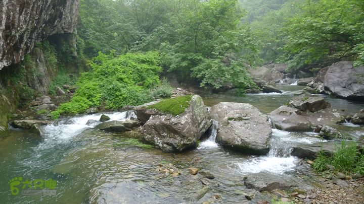 雁荡山狮子山五马尖筋竹涧这其实是个不错的山涧，可惜垃圾多了点，水质被破坏