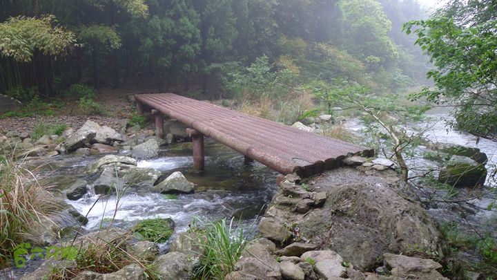 雁荡山狮子山五马尖筋竹涧平板桥