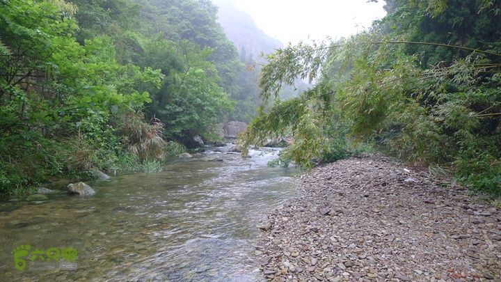 雁荡山狮子山五马尖筋竹涧平坦的溪流