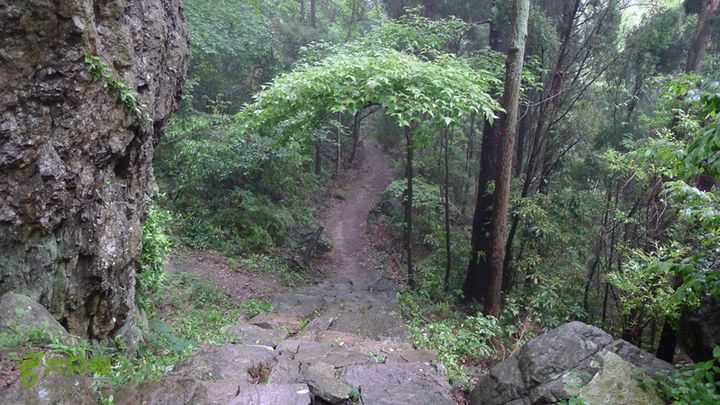 雁荡山狮子山五马尖筋竹涧阴雨天，石阶非常湿滑