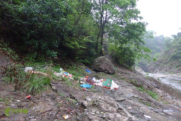 雁荡山狮子山五马尖筋竹涧蝗虫族的素质