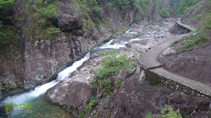 雁荡山狮子山五马尖筋竹涧如此美景，被糟蹋实在可惜