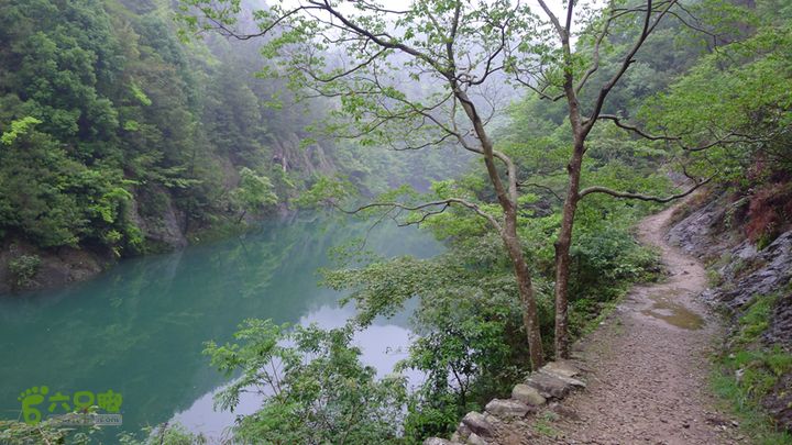 雁荡山狮子山五马尖筋竹涧下游的溪流越来越宽