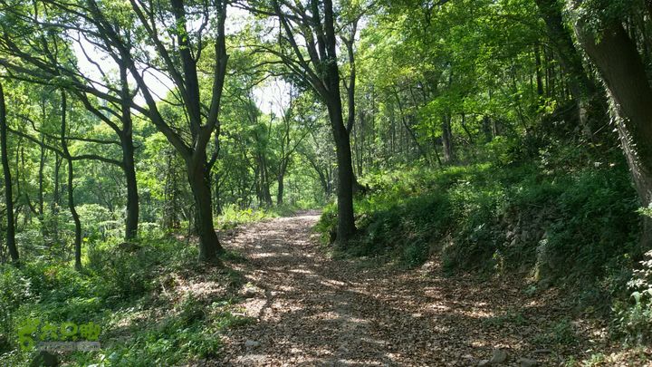 深溪一潘岙2015-04-25 13:39:39