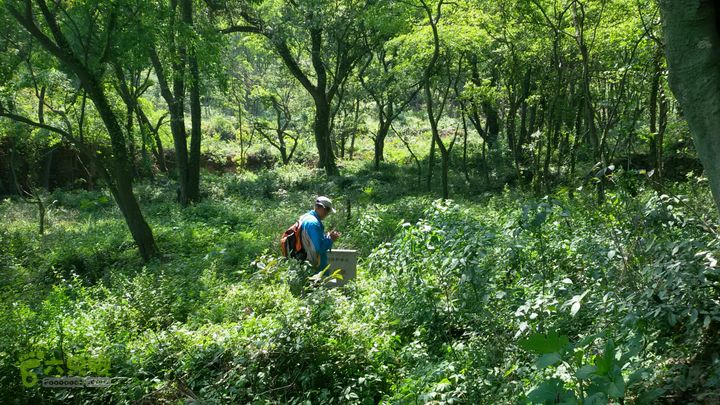 深溪一潘岙2015-04-25 13:41:16