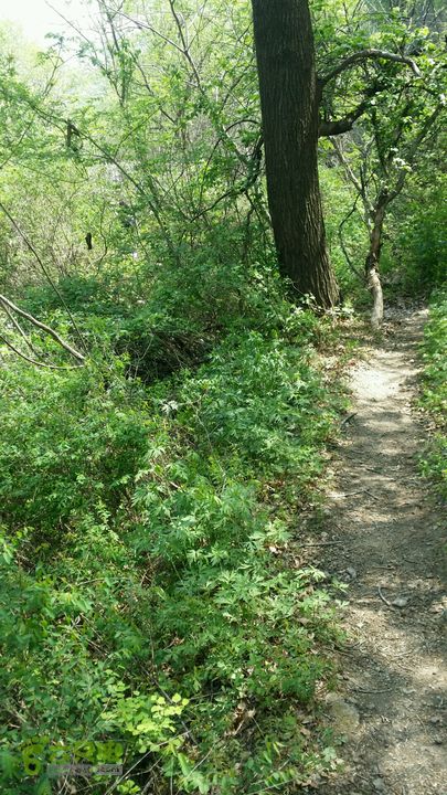河防口 夹扁楼 白银谷 怀北滑雪场小径