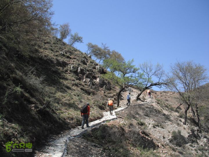 平峪-洼卧山-议合DSCF0680