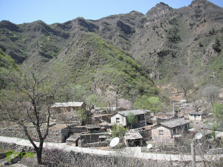 平峪-洼卧山-议合DSCF0687