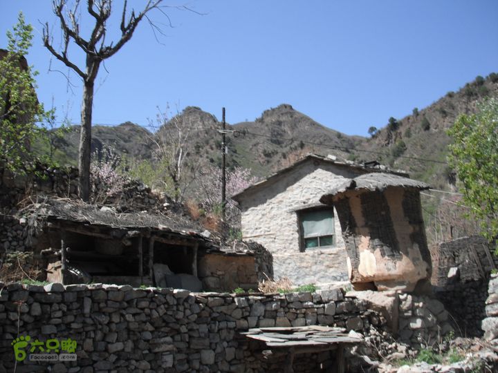 平峪-洼卧山-议合DSCF0693