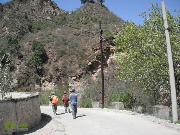 平峪-洼卧山-议合DSCF0696