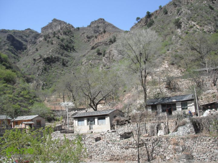 平峪-洼卧山-议合DSCF0702