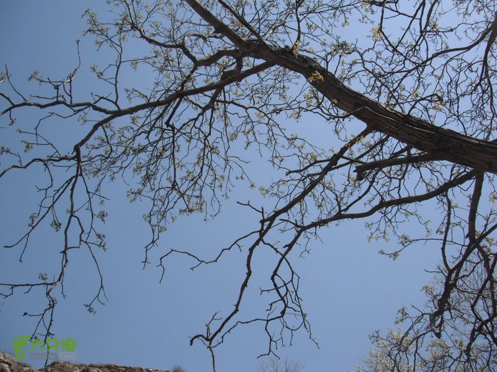 花儿台-富合-三坡镇DSCF0940