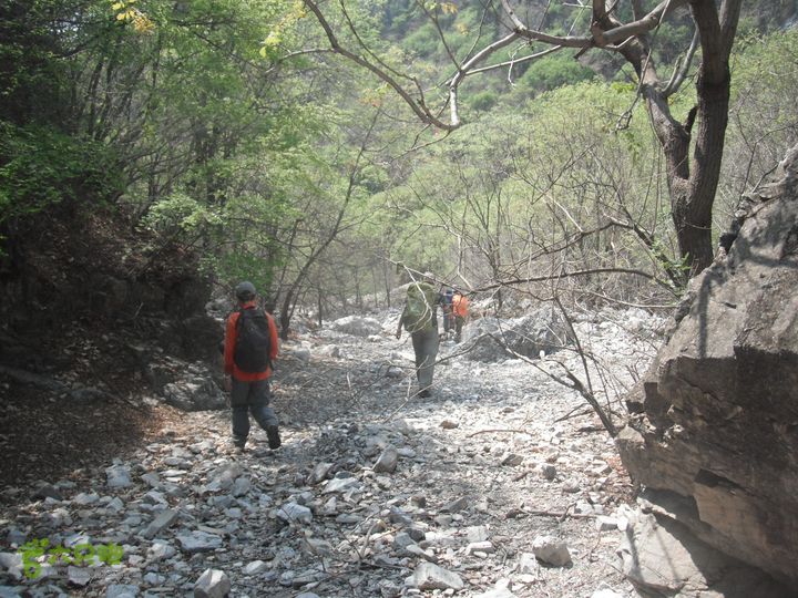 花儿台-富合-三坡镇DSCF0992