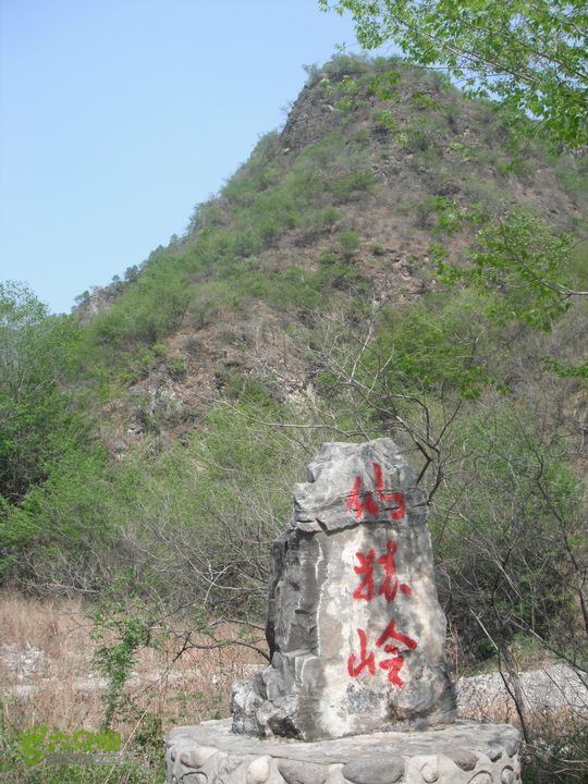 花儿台-富合-三坡镇DSCF1029