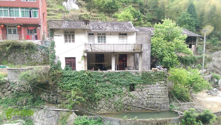 下石坑古道IMAG0770