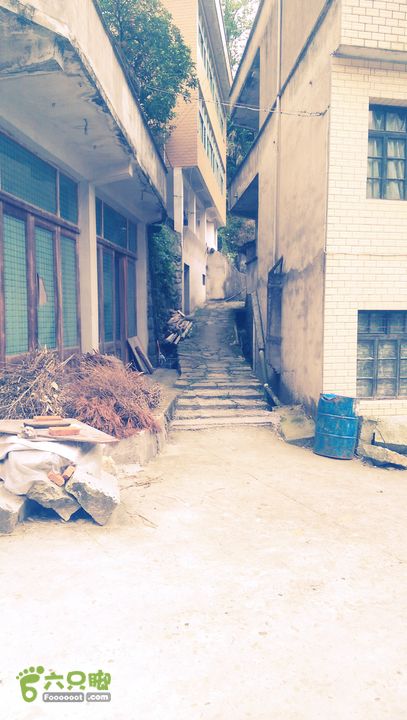 下石坑古道IMAG0788