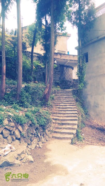 下石坑古道IMAG0792