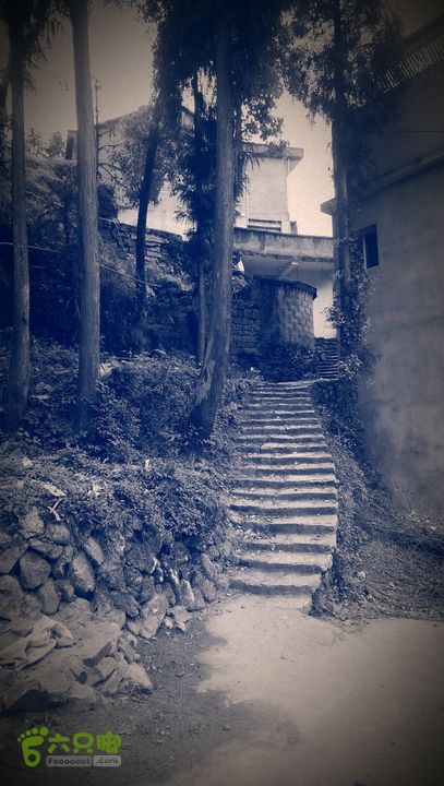 下石坑古道IMAG0793