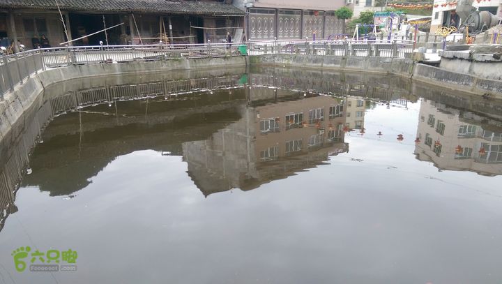 下石坑古道IMAG0802