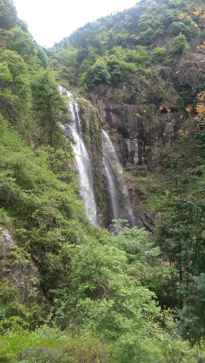 下石坑古道IMAG0731