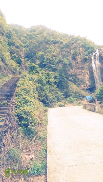 下石坑古道IMAG0746