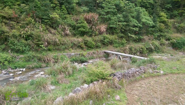 下石坑古道IMAG0749