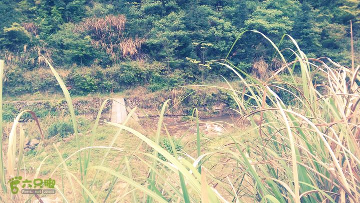 下石坑古道IMAG0751