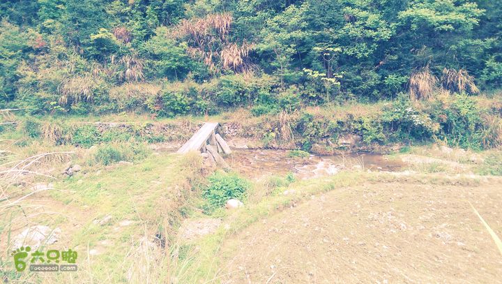 下石坑古道IMAG0752