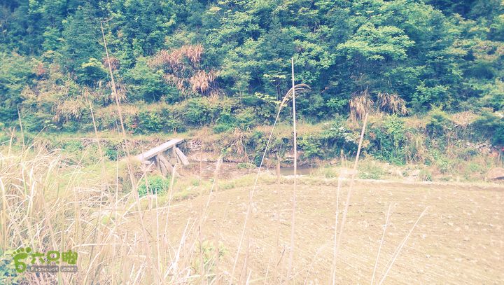 下石坑古道IMAG0753