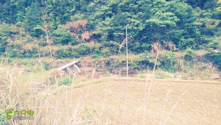 下石坑古道IMAG0754