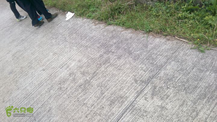 下石坑古道IMAG0756