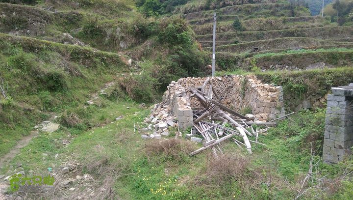 下石坑古道IMAG0757