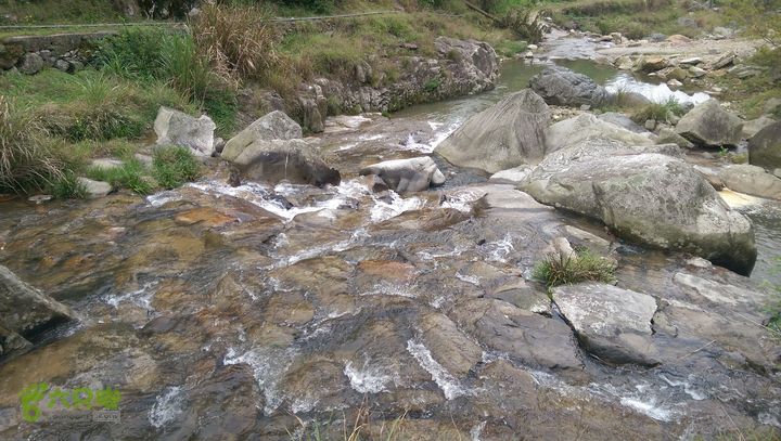 下石坑古道IMAG0763