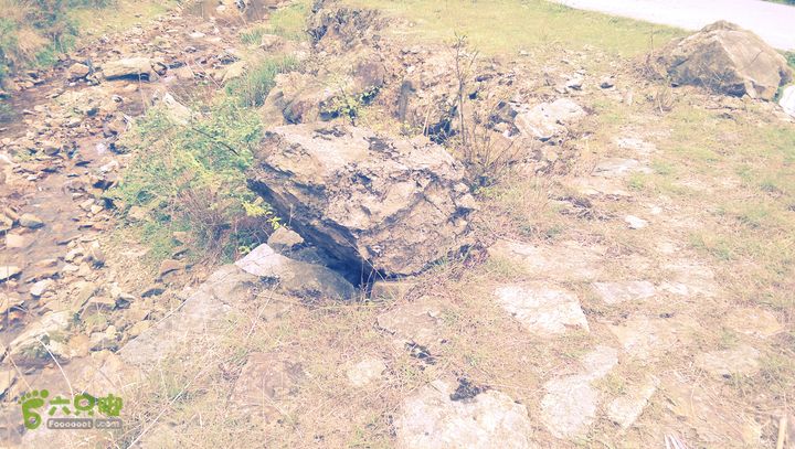 下石坑古道IMAG0698