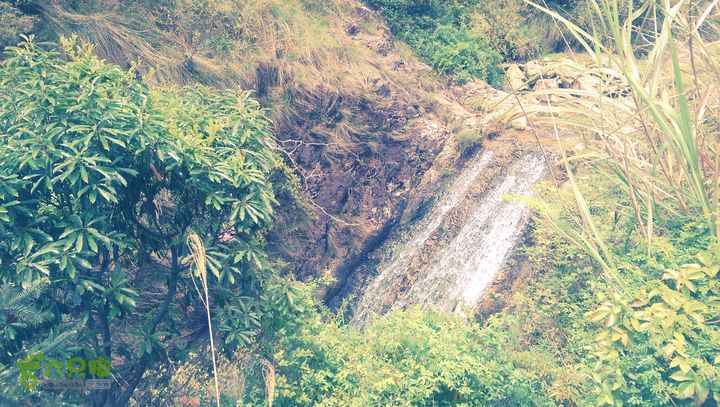 下石坑古道IMAG0702