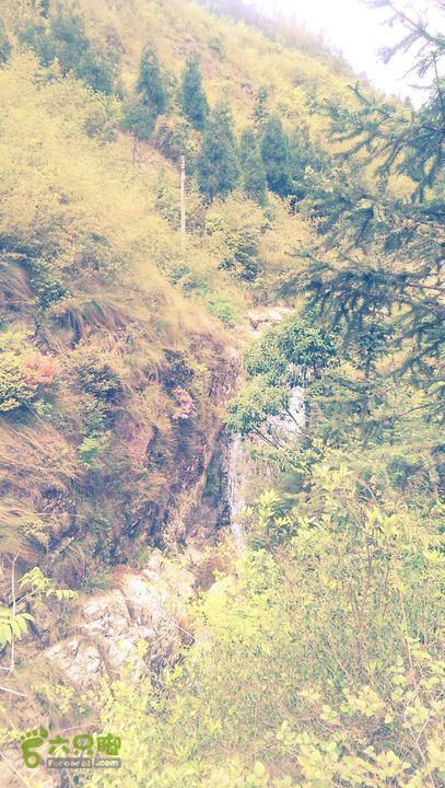 下石坑古道IMAG0703