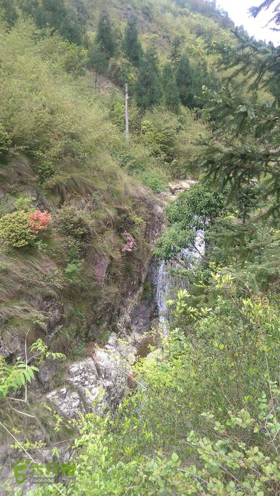 下石坑古道IMAG0704