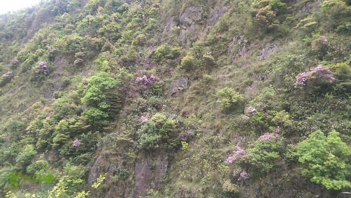 下石坑古道IMAG0705