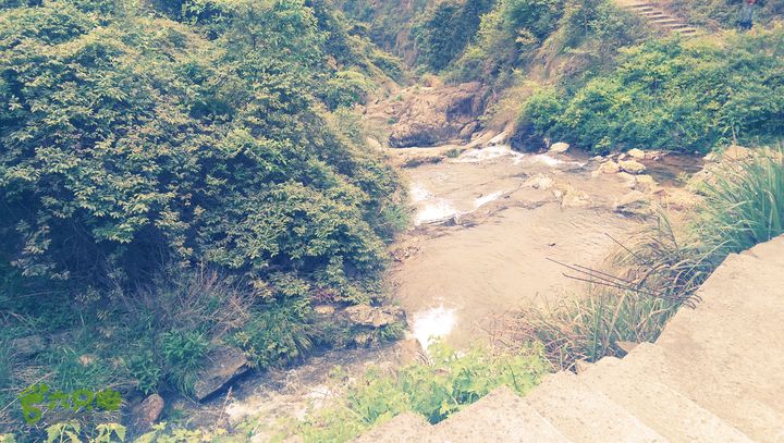 下石坑古道IMAG0714