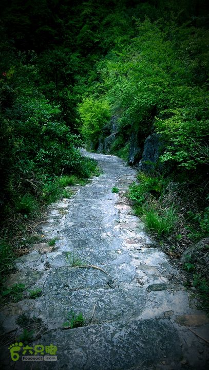 下石坑古道IMAG0723