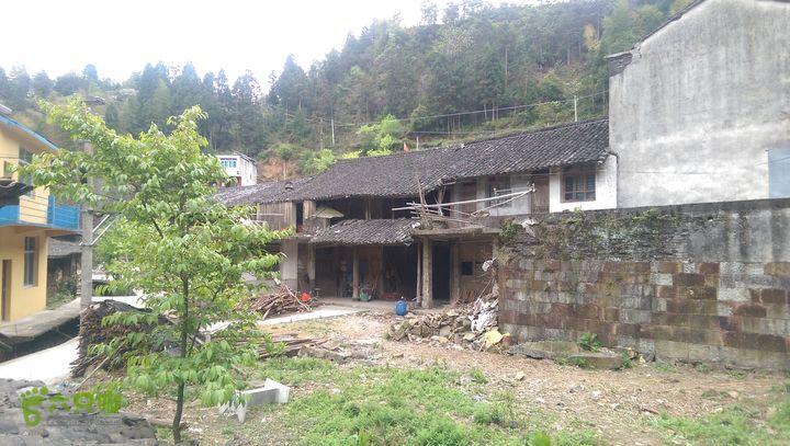 下石坑古道IMAG0659