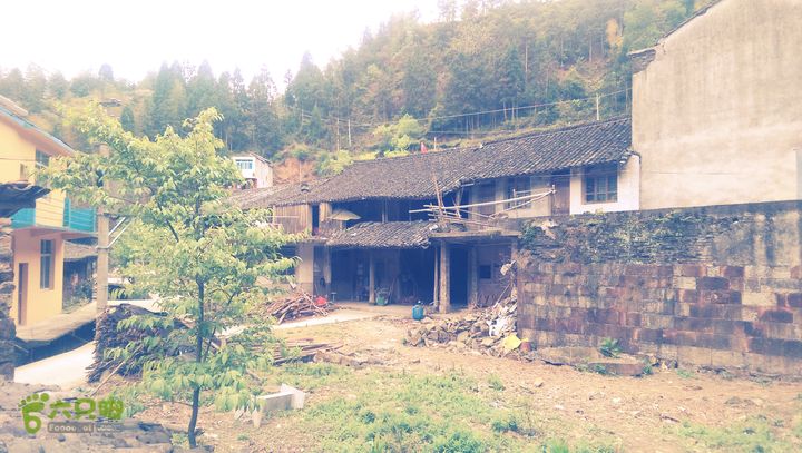 下石坑古道IMAG0660