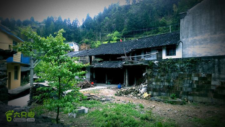 下石坑古道IMAG0661