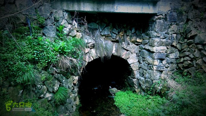 下石坑古道IMAG0669