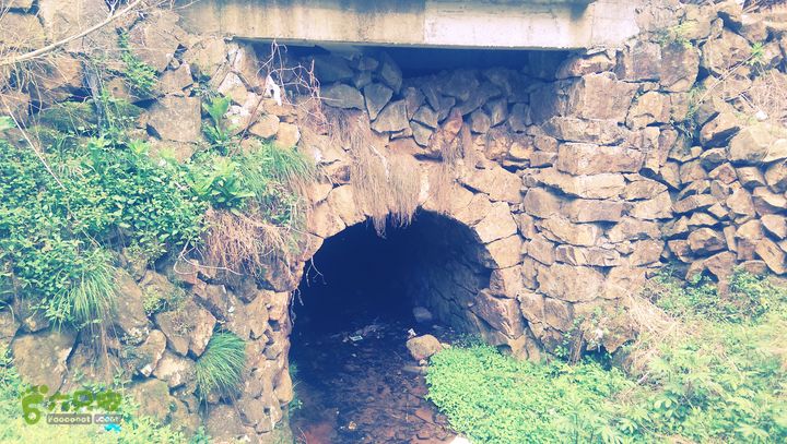 下石坑古道IMAG0670