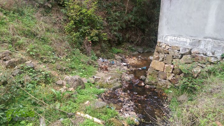 下石坑古道IMAG0672