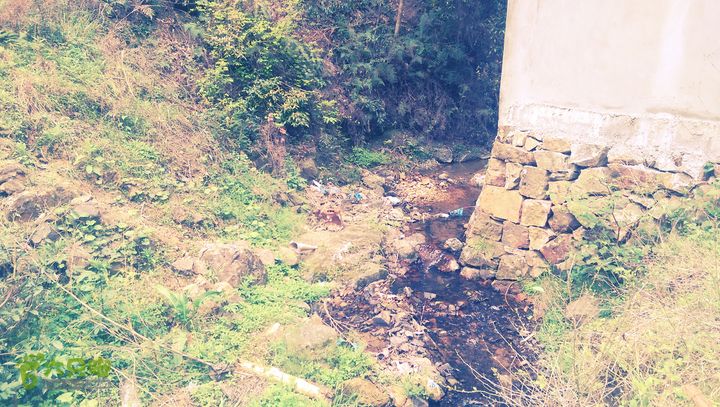 下石坑古道IMAG0673