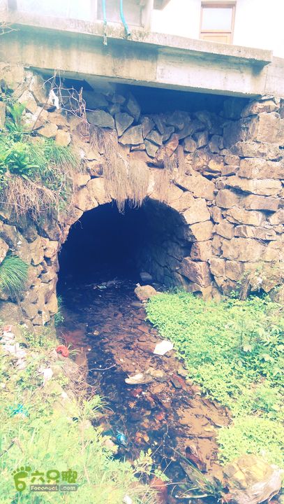 下石坑古道IMAG0674