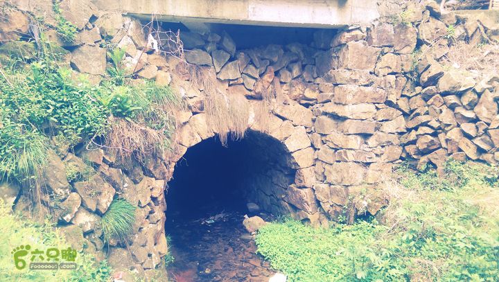 下石坑古道IMAG0675